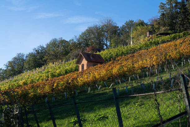 The Lemberg near Stuttgart Feuerbach, Germany - taken in October in the evening sun.