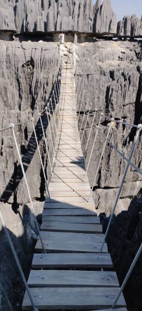 istock The Tsingy de Bemaraha national park 2181294900