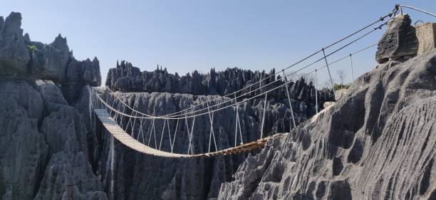 istock The Tsingy de Bemaraha national park 2181294943