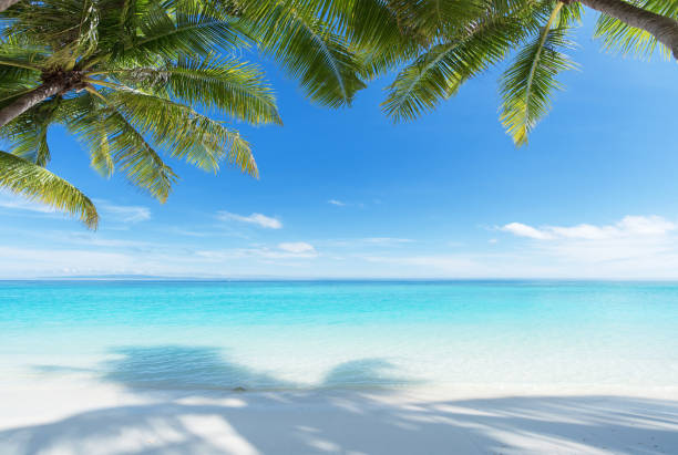 istock Tropical paradise beach scene for background or wallpaper 2181295611
