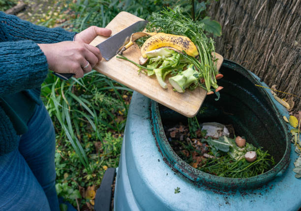 istock Woman disposing of biodegradable kitchen waste into a large garden compost bin 2181303052