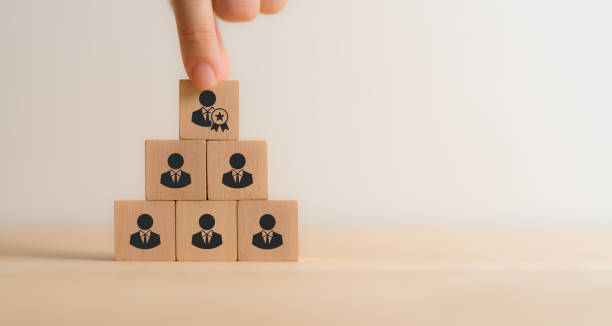 istock Leadership, promotion, recognition and organizational structure. Wooden blocks arranged in a pyramid, representing a business hierarchy, with a hand placing a block featuring a leader and promotion. 2181308314