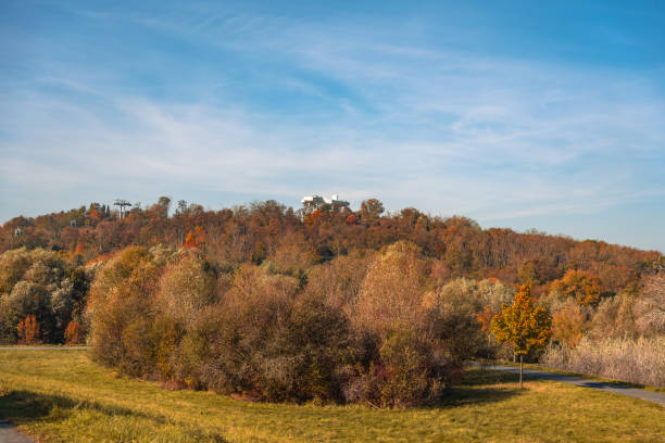A beautiful autumn day with a view of a hill covered in trees. The trees are mostly brown and orange, and the sky is clear and blue