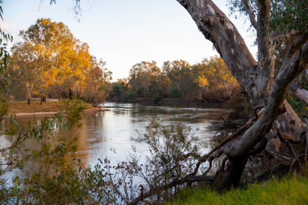 istock The Murray River near Albury Wodonga 2181312572