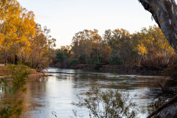 istock The Murray River near Albury Wodonga 2181312580