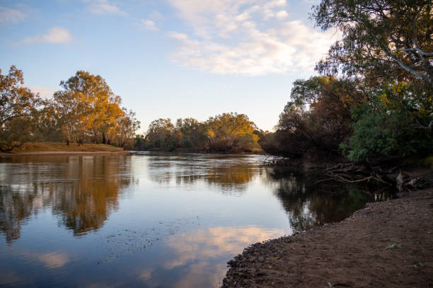 istock The Murray River near Albury Wodonga 2181312634