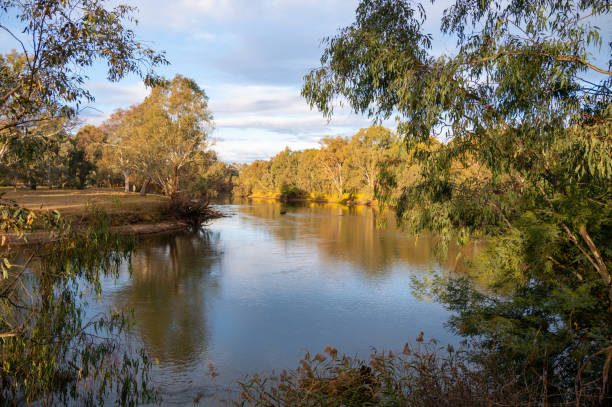 istock The Murray River near Albury Wodonga 2181312951