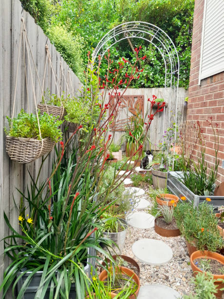 istock Garden with Red Kangaroo Paw 2181314448