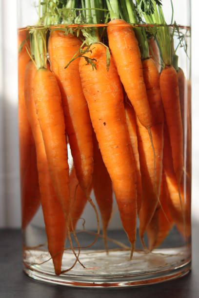 Bunch of fresh organic carrots in a glass vase. Healthy eating concept.  Bouquet made of carrots.