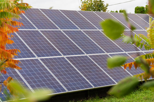 istock Solar panels are installed on a rooftop, effectively capturing sunlight to generate electricity. The clear blue sky enhances the efficiency of this renewable energy source 2181318814