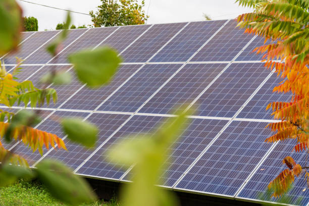 istock A rooftop equipped with solar panels gathers sunlight to generate electricity. This setup demonstrates renewable energy efforts in a sunny environment with lush greenery 2181318834