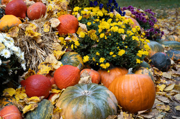 istock Autumn decoration with pumpkins and flowers 2181329638