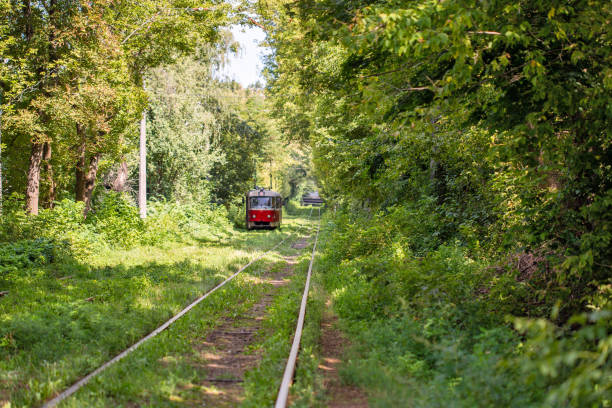 Long tram tracks running through the forest in Kyiv, Ukraine.