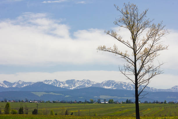 View of the Polish Tatras. Landscape with mountains on the horizon.