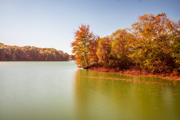 Autumn by the lake