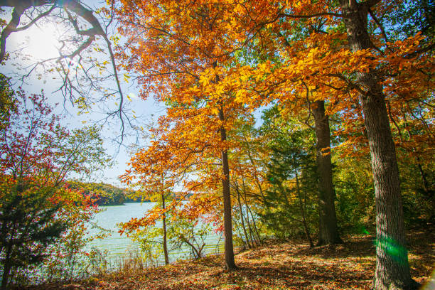 istock Autumn by the lake 2181342763