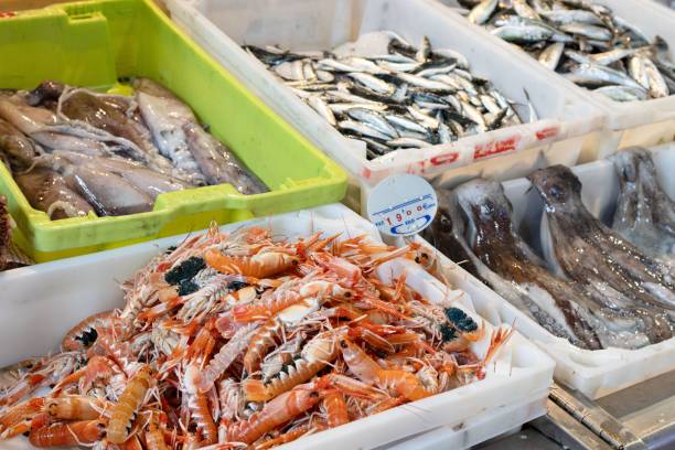 istock Fresh seafood display at a market featuring shrimp, fish, and octopus in plastic trays 2181354725