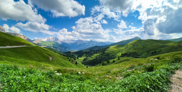 istock A view from Seceda - Odle - Val Gardena - Ortisei - Italy 2181369192