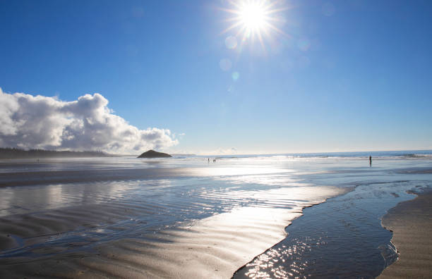 istock Mature man on beach vacation 2181369591