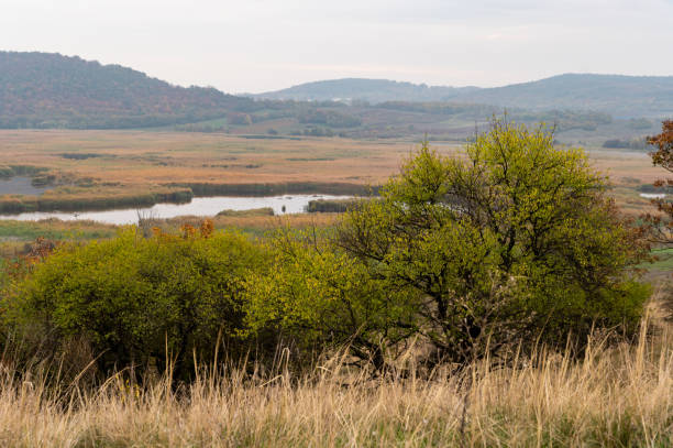 istock Autumn trees and wetlands on the Tihany Peninsula 2181370041