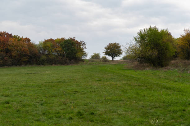Landscape view in the Derbyshire Dales