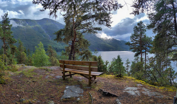 Bench with a cenery in the forest looking at Naeroyfjord