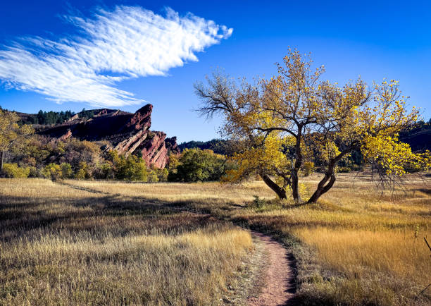 istock Autumn hiking in Colorado 2181375482