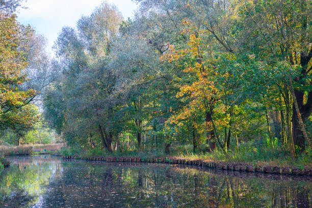 istock Scenic view of a waterside in autumn 2181377656