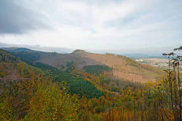 Thuringian Forest near Bad Tabarz in Thuringia in autumn