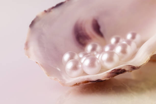 istock Beautiful white pearls on an oyster shell. 2181381500
