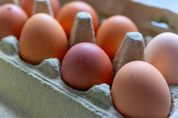 istock Brown eggs are nestled in a cardboard carton 2181384746