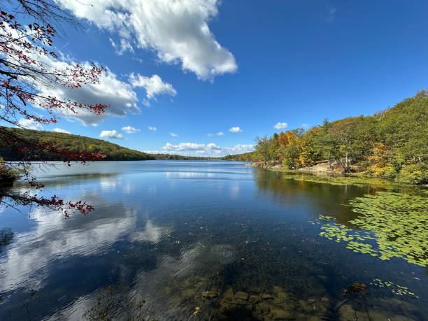 istock Serene lake view with clear blue skies 2181385348