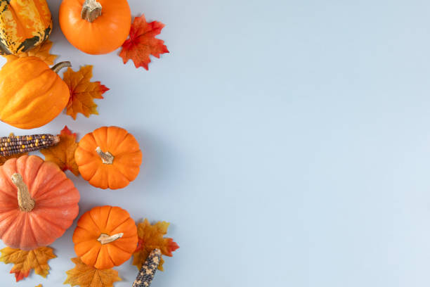 istock Pumpkins Background for Thanksgiving and Autumn 2181386976