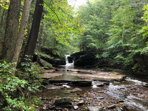 istock Waterfall in September at Ricketts Glen State Park in Pennsylvania State. 2181387080