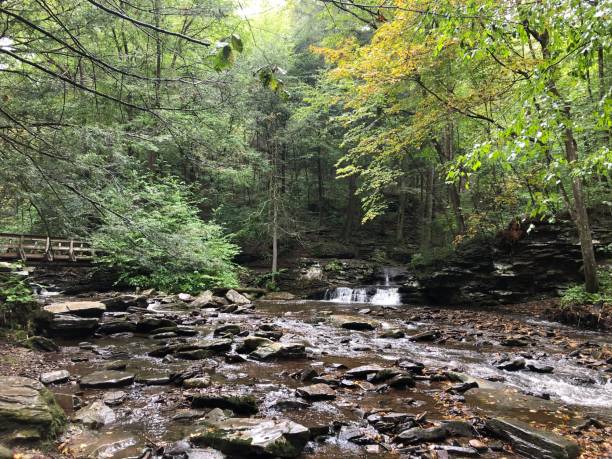 istock Waterfall in September at Ricketts Glen State Park in Pennsylvania State. 2181387085