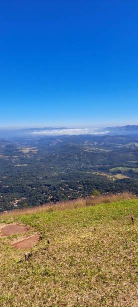 istock Brazilian nature 2181388503