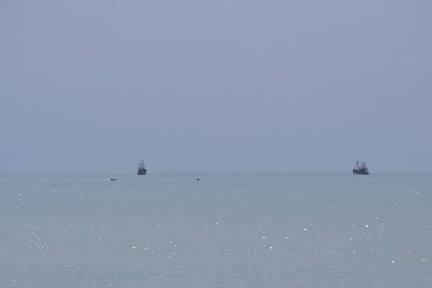 Fishing boats sailing on the horizon
