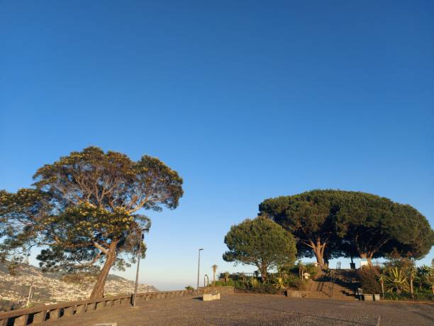 istock Landscape from Madeira island 2181389534