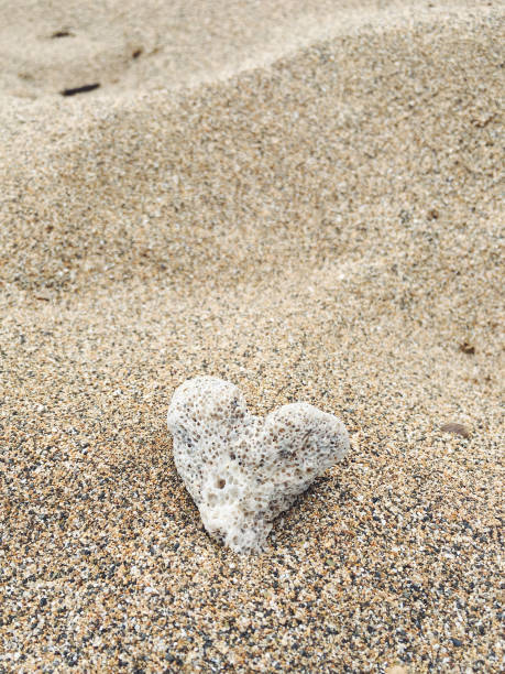 istock Heart-Shaped Coral on Light Brown Sand 2181390617
