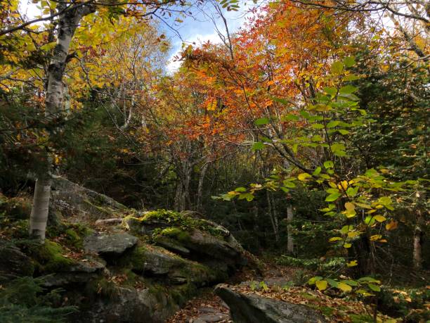istock Wittenberg Mountain in September in Catskill Mountains in New York State. 2181390929
