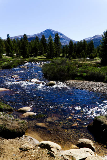istock Merced River Running Towards Camera Yosemite National Park 2181394132