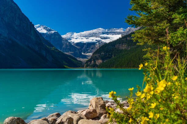 istock Lake Louise in Banff National Park, Alberta, Canada 2181395491