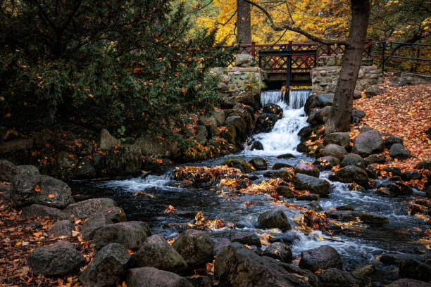 istock Waterfall in the beautiful autumn garden 2181396802