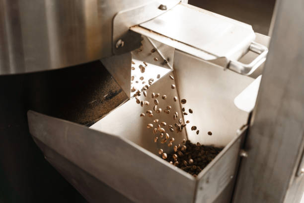 istock Pouring freshly roasted coffee beans after roasting. Professional coffee beans equipment. Coffee roasting process in the facility. 2181407604