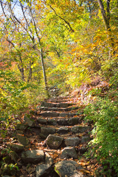 istock Autumn Hiking Stone Stairs 2181410038