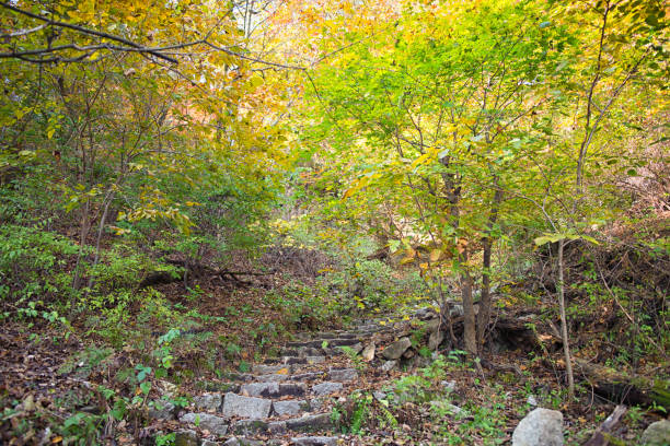 istock Autumn Hiking Stone Stairs 2181410044