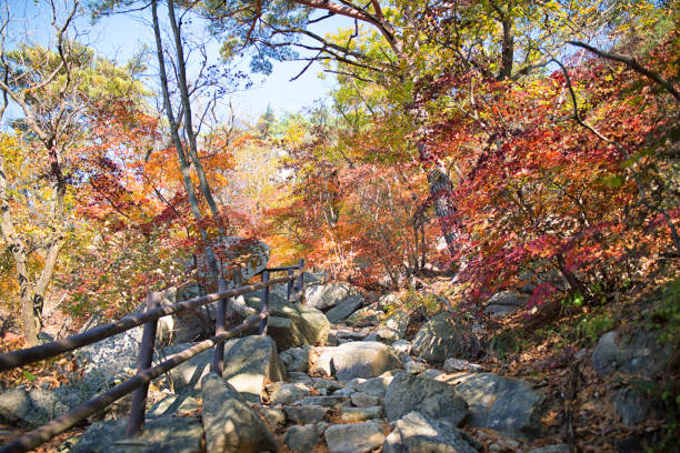 Bukhansan National Park, Seoul Korea 북한산