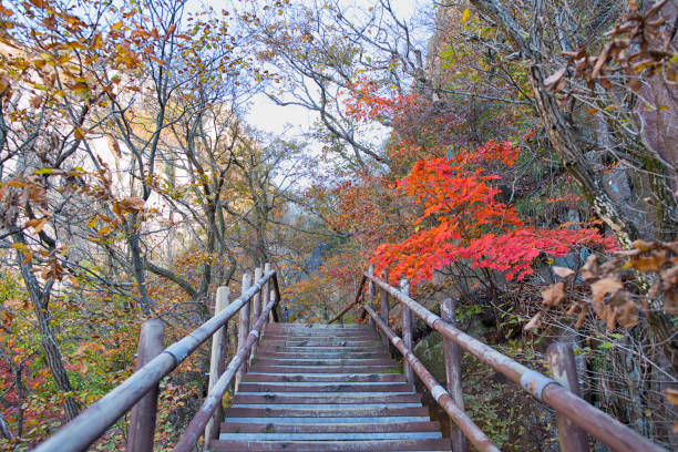 Bukhansan National Park, Seoul Korea 북한산 노적봉 허릿길