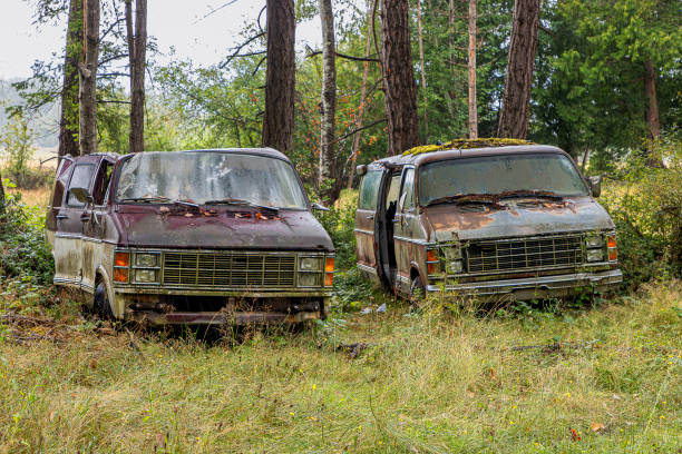 2 old Dodge vans deteriorating in the woods. Hornby island