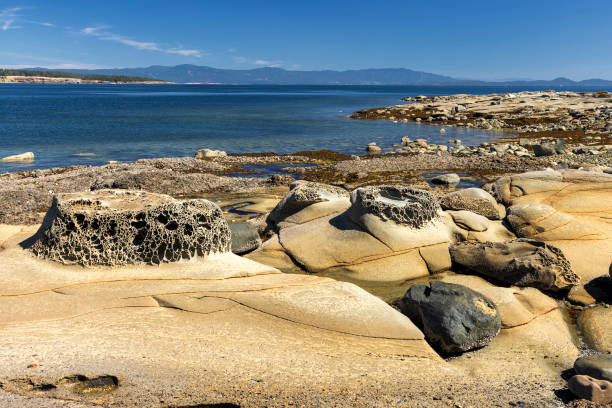 Eroded sandstone and rock beach, Hornby Island, near Sandpiper beach